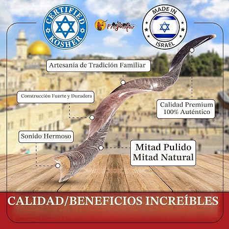 Miniatura Galería