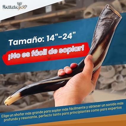 Miniatura Galería